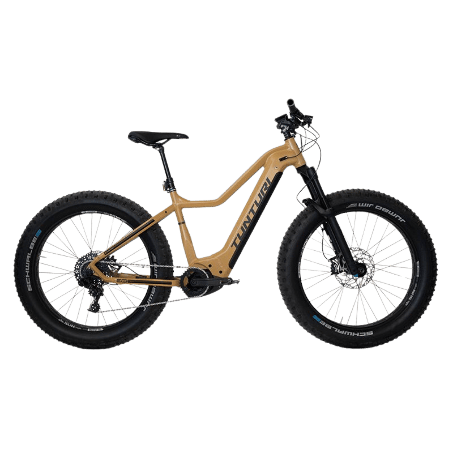 E-Fatbike