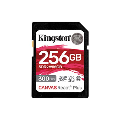 Kingston V90 256GB
