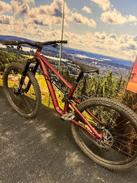 Specialized Status 160 - enduropyörä, koko S2